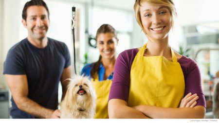 Dog grooming business owner and employees; small group health insurance