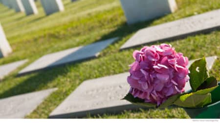 Flowers on a tombstone